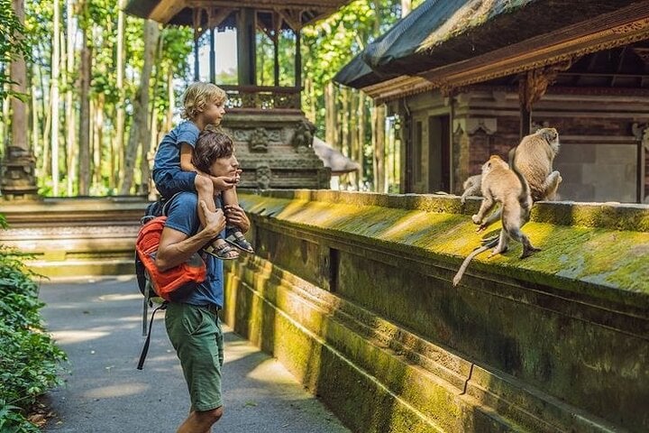 Best of Ubud: Waterfall - Jungle Swing - Rice Terrace 9