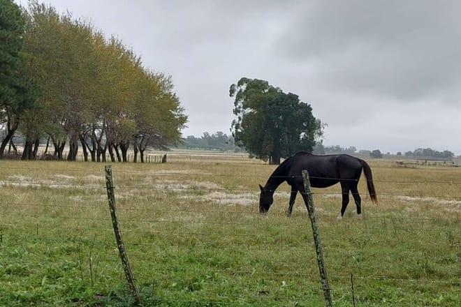 Authentic Farm Day in an Argentine Countryside Estancia 9