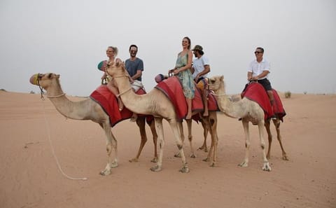 Overnight Desert Safari in Dubai with Private 4WD and Igloo Tent