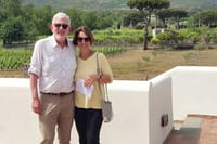  Pompeii, Vesuvius & Wine Tasting Private day Tour 8