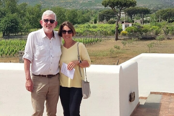  Pompeii, Vesuvius & Wine Tasting Private day Tour 8