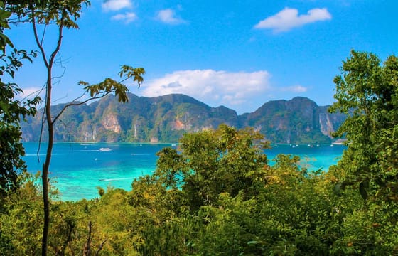 Phi Phi Islands X-Large The Early Bird