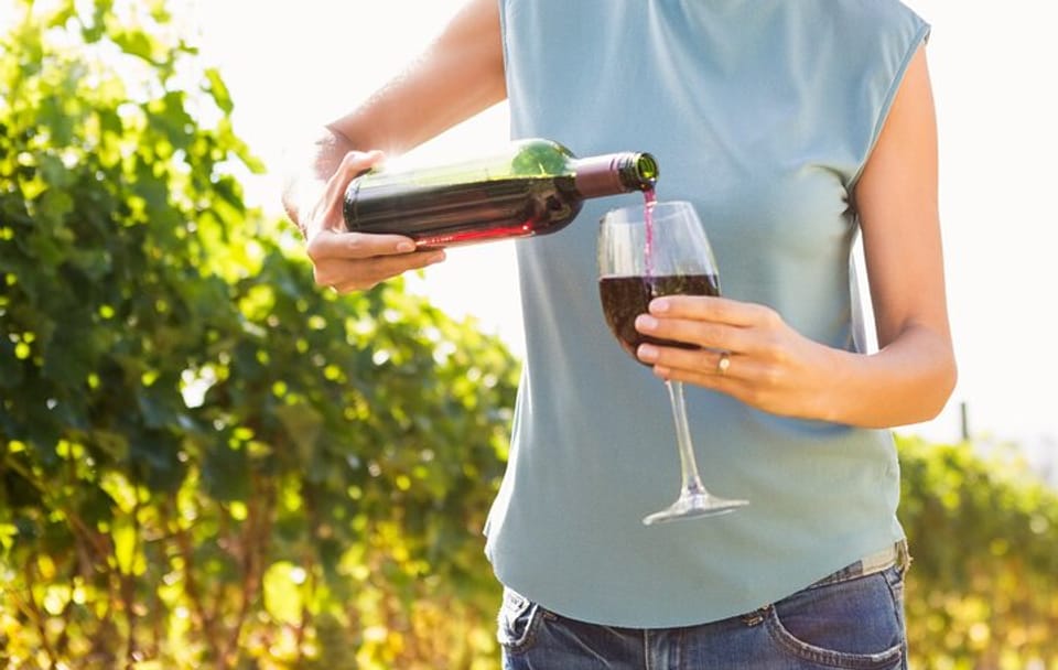 Troodos Vino Venture: Wineries and Villages Tour from Ayia Napa