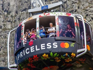 Cape Town Half-Day Tour: Table Mountain, Penguins, and Wine Tasting