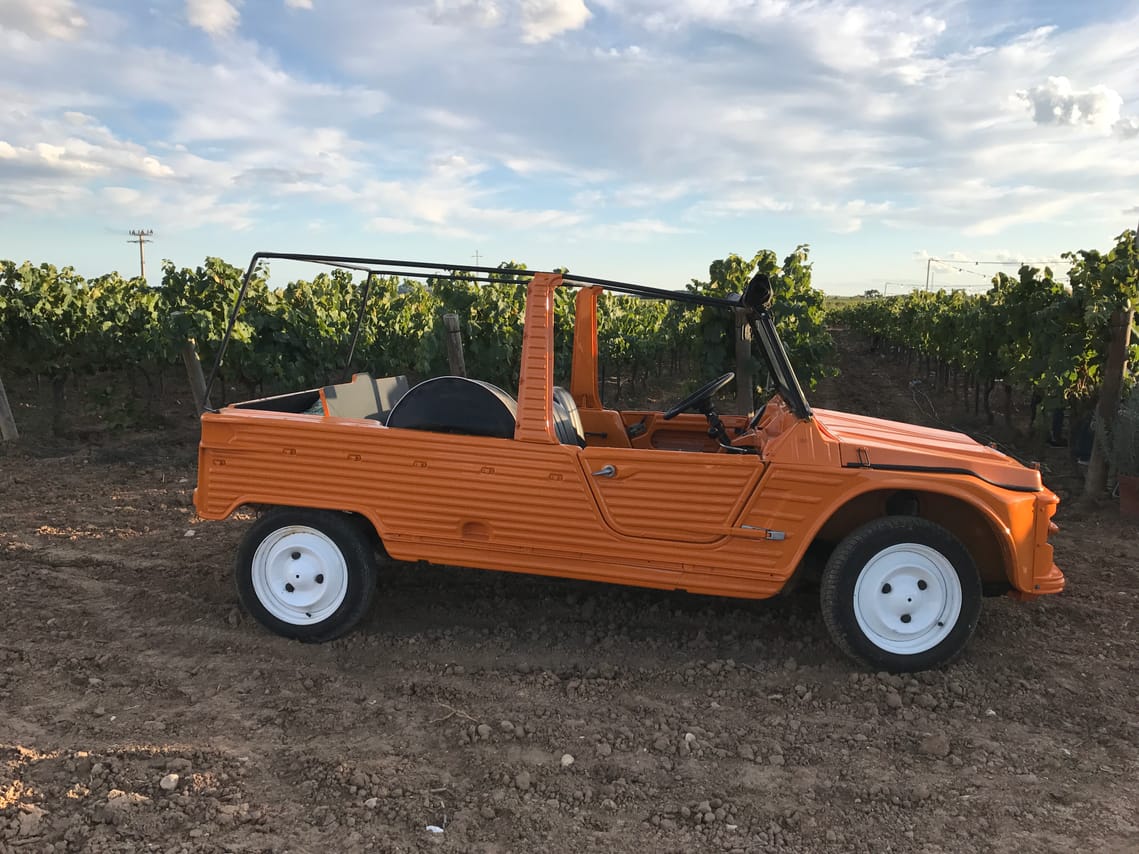 SAFARI TOUR IN 4X4 BY THE PENEDÈS AND VISIT TO WINERY WITH WINE TASTING 5