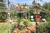 Northern Phu Quoc Tour with Kayaking 4