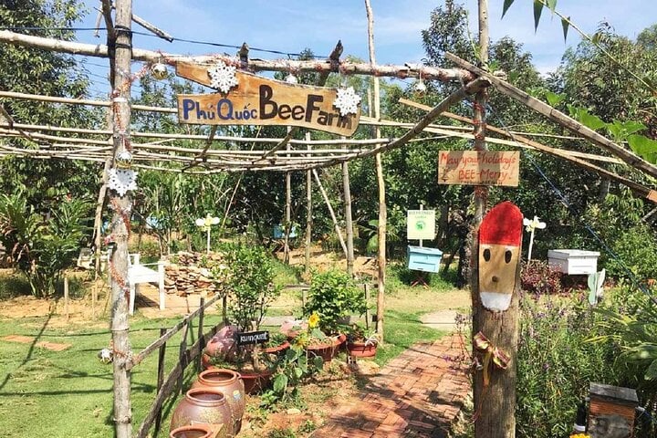 Northern Phu Quoc Tour with Kayaking 4