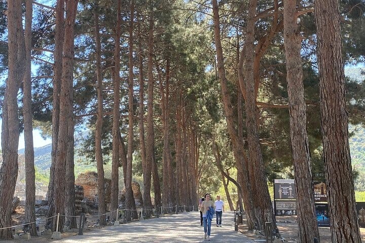 Basilica of St. John and Virgin Mary’s House Tour