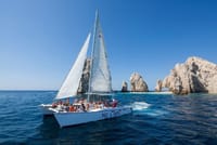Los Cabos Whale Watching Cruise with Open Bar & Snacks 8