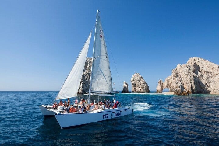 Los Cabos Whale Watching Cruise with Open Bar & Snacks 8