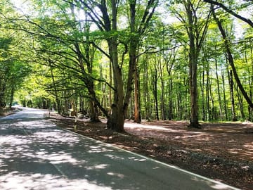 Epic Georgia Journey: 12 Days of Exploration & Charm