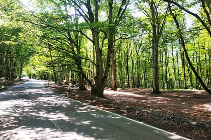 Truso Valley & Khada Gorge: Jeep Adventure from Tbilisi