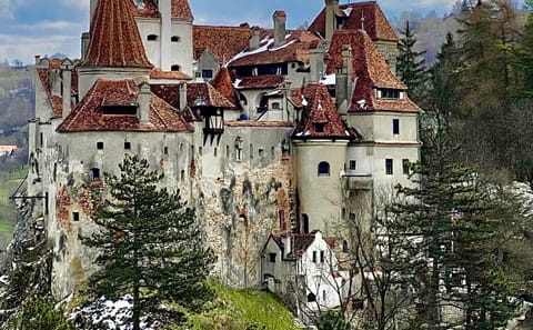 Explore Bran Castle and Rasnov Fortress from Brașov