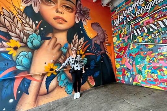 Miami City Tour in 3.5 Hrs–South Beach, Wynwood & Little Havana