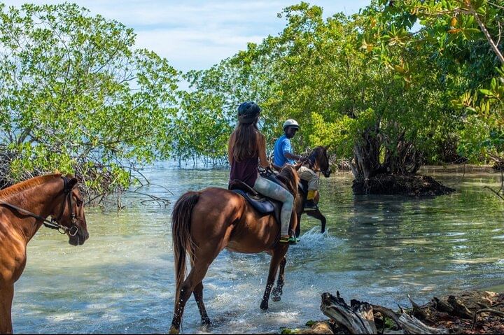 ATV and Horse Back Riding Adventure with Pick Up from Montego Bay