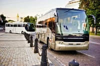Marsa Alam Airport Private Transfer Service 9
