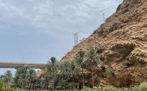 Private Day Trip to Wadi Shab and Bimmah Sinkhole from Muscat