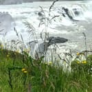 - PRIVATE TOUR - 6 Day Family Summer Tour 2