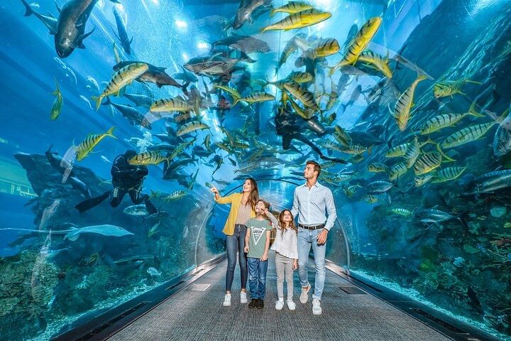 Dubai Aquarium with Various Animal Encounter and Access Options