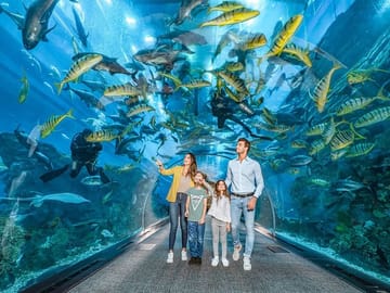 Dubai Aquarium & Underwater Zoo