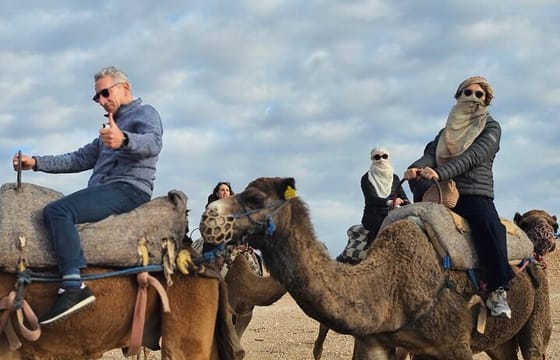 Desert Agafay: Quad bike and Moroccan dinner show with pick/up