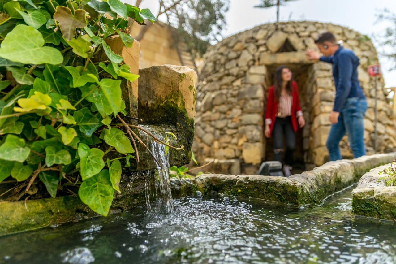 Prehistoric Temples, The Limestone Heritage & The Blue Grotto (Half Day) 6