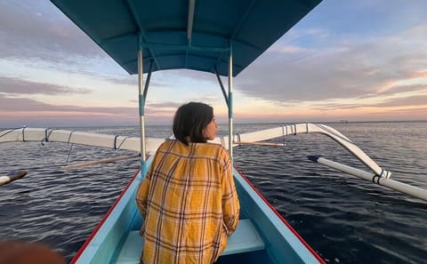 Dolphin Watching and Snorkeling Tour in Buleleng, Indonesia