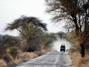 Day Trip – Tarangire National Park