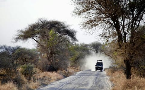 Day Trip Tarangire National Park
