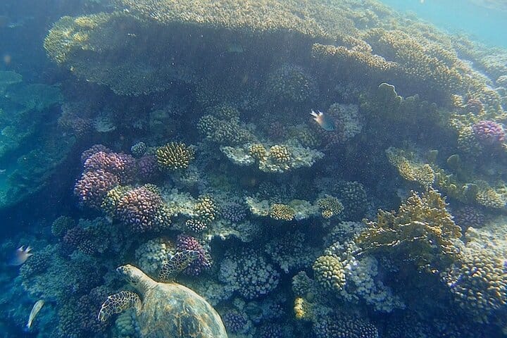 Sharm El Naga National Park Semi-Private Snorkeling Trip-Hurghada