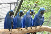Bird Park