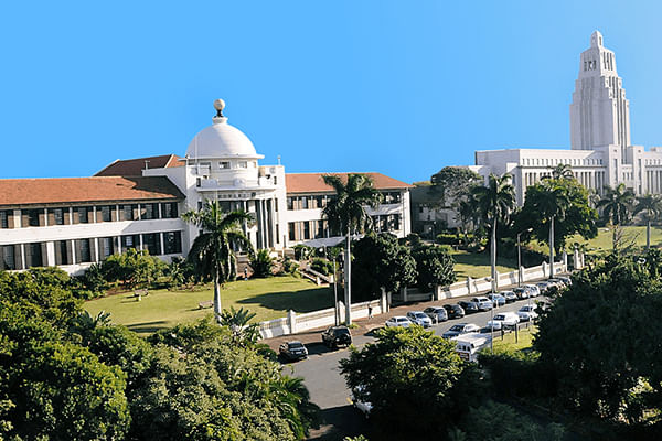Historic Durban architecture and lush city greenery.