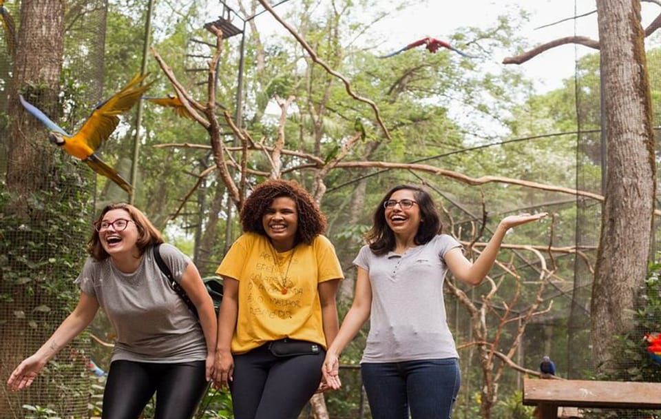Iguazu Falls Brazilian Side & Bird Park from Puerto Iguazu