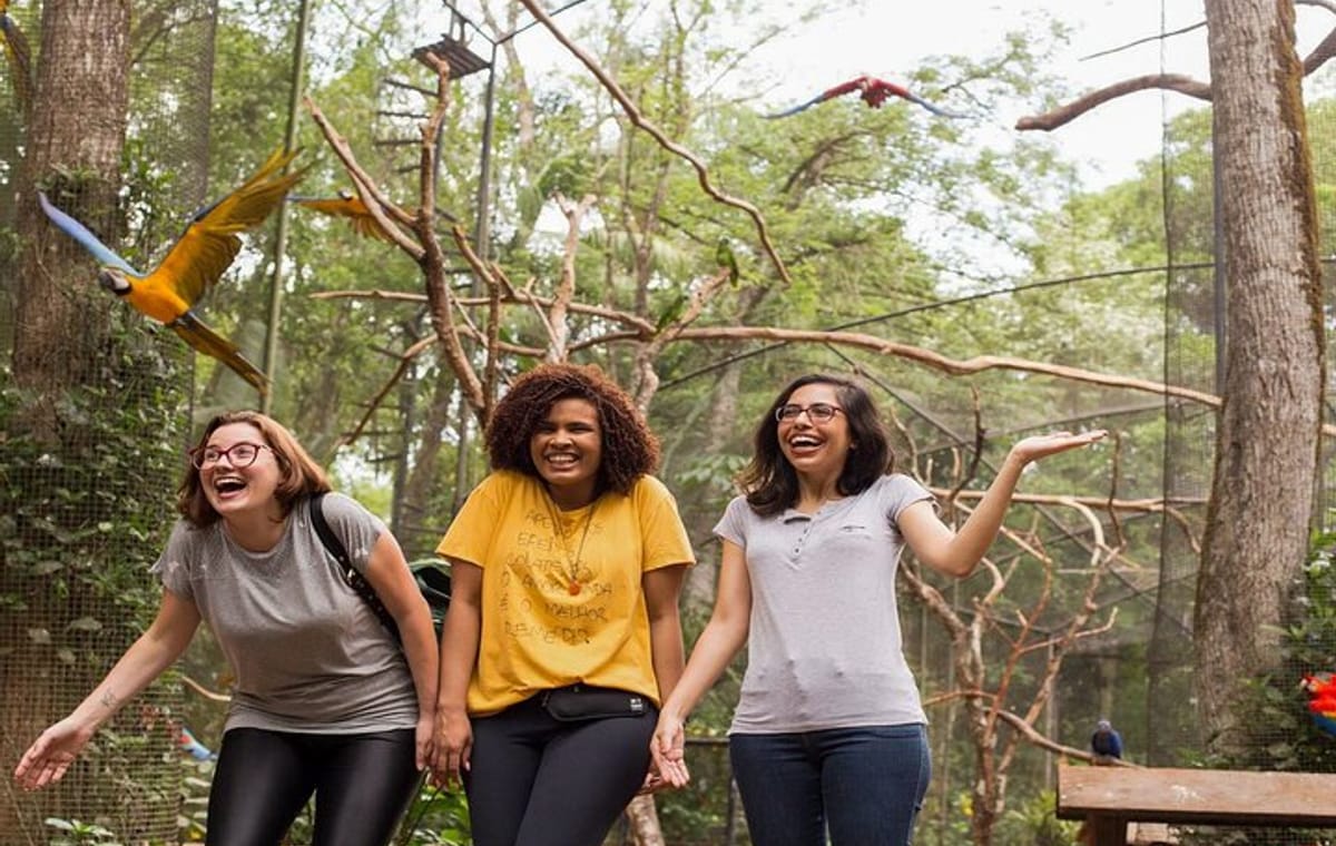 Iguazu Falls Brazilian Side & Bird Park from Puerto Iguazu