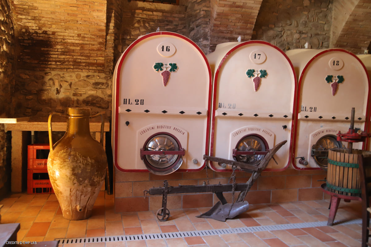 Vineyard Tour and Tasting of Lugana Wines 10