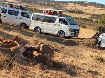 4-Day Budget Safari in Masai Mara and Lake Nakuru, Kenya