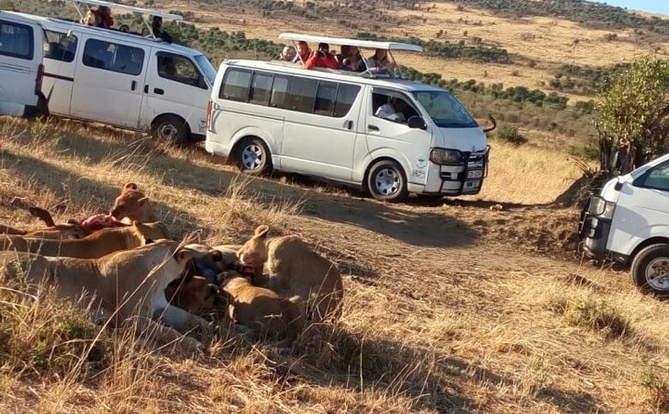 4-Day Budget Safari in Masai Mara and Lake Nakuru, Kenya
