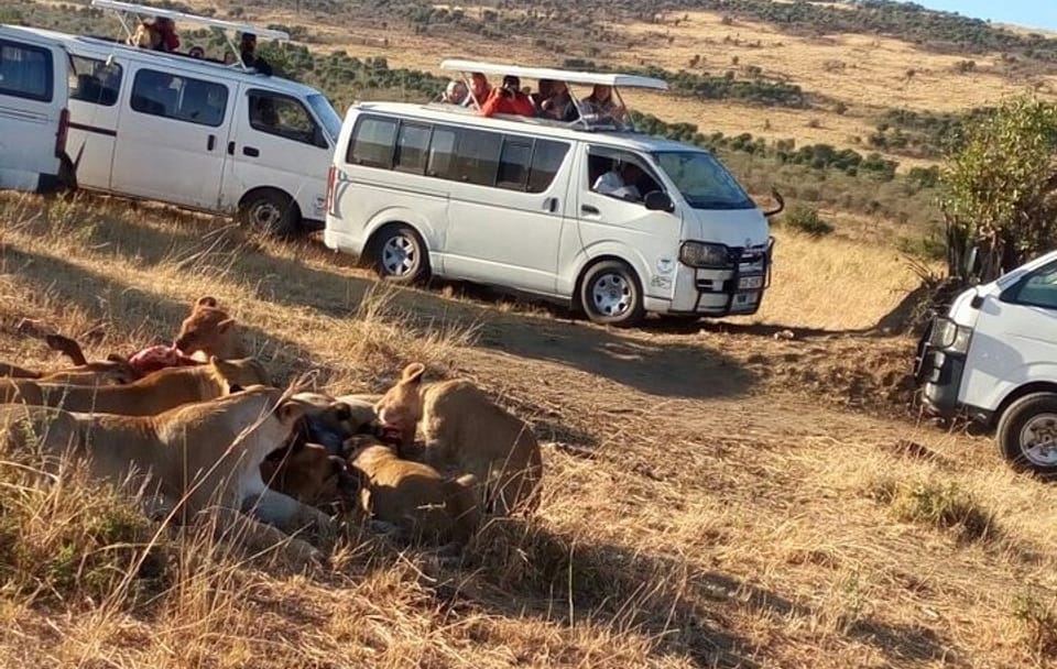4-Day Budget Safari in Masai Mara and Lake Nakuru, Kenya