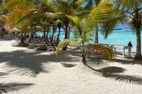 Saona Island Full Day Tour with Buffet Lunch, Paella, & Open Bar 8