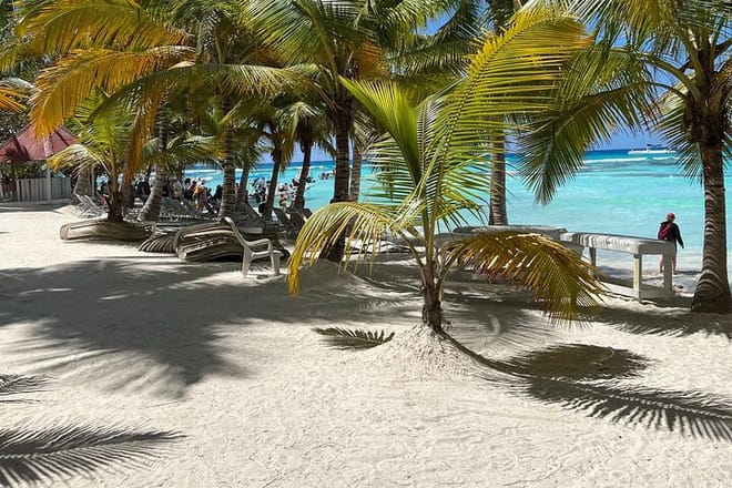 Saona Island Full Day Tour with Buffet Lunch, Paella, & Open Bar 8