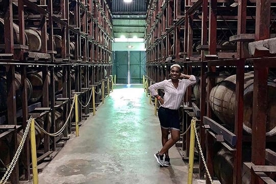 Ys Falls and Appleton Estate Factory Tour with private transportation