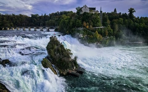 Black Forest and Rhine Falls Day Trip from Zurich