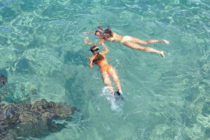 Three-hour reef snorkeling adventure