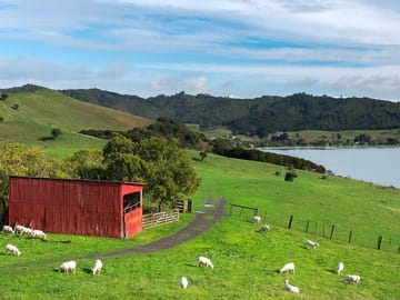 Duder Regional Park Full-Day Walking Tour in Clevedon