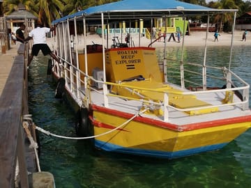 Glass bottom boat