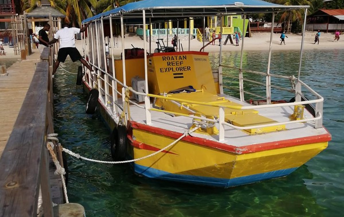 All inclusive Glass Bottom boat Wild life encounter and Beach