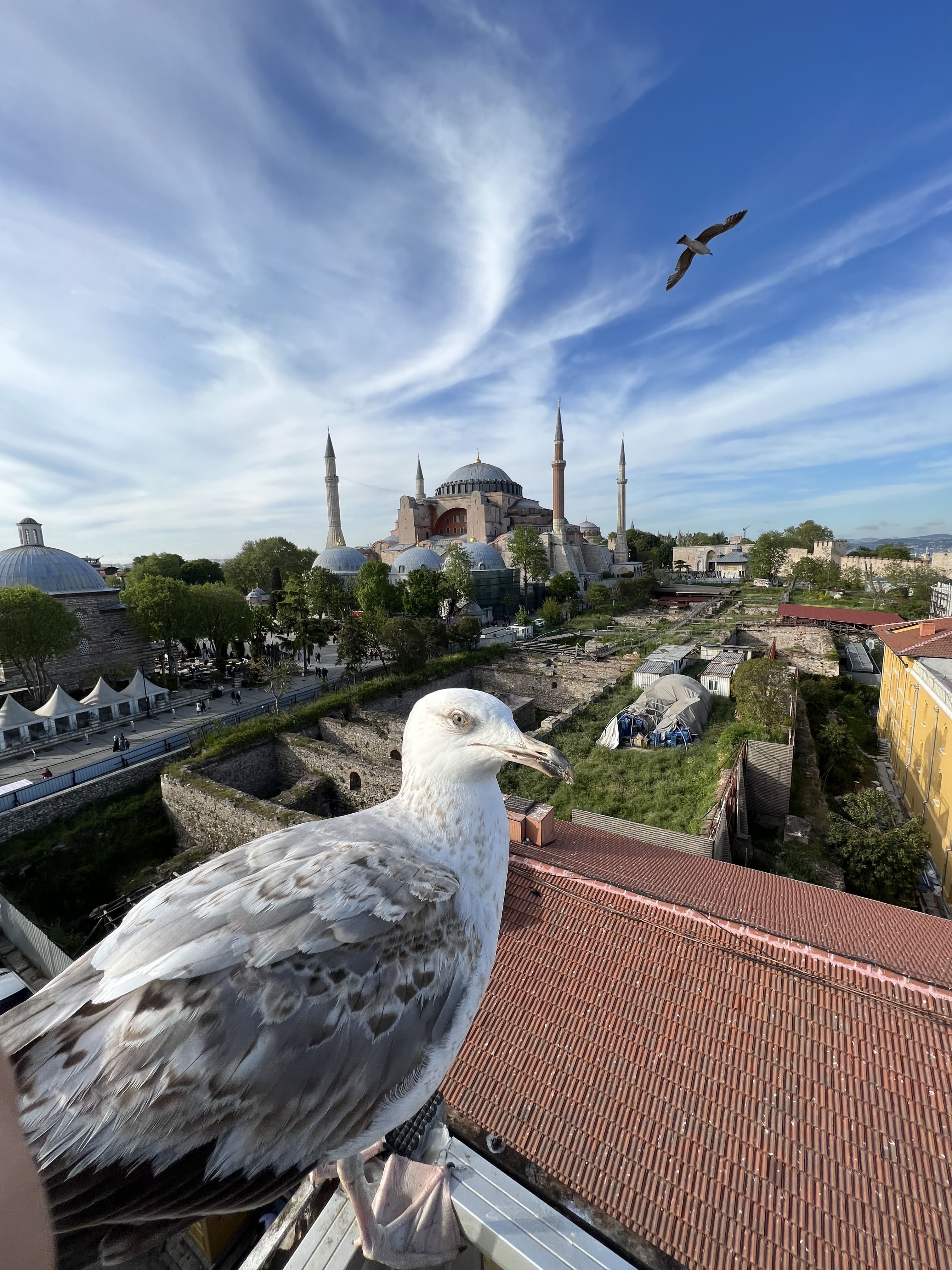“View of Hagia Sophia from a photo terrace, showing the large central dome, surrounding minarets, and parts of Istanbul’s skyline under a cl