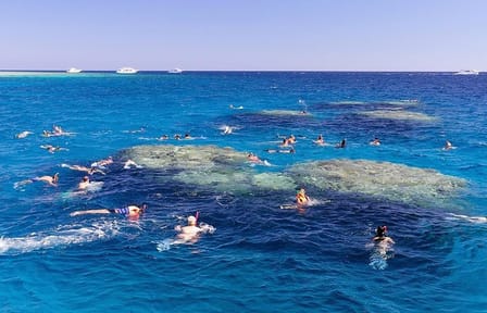 Snorkeling Tour at Ras Mohammed National Park in Sharm El Sheikh