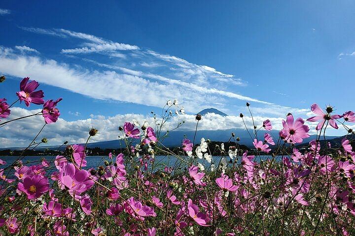 2 Days Tour Mount Fuji and Hakone