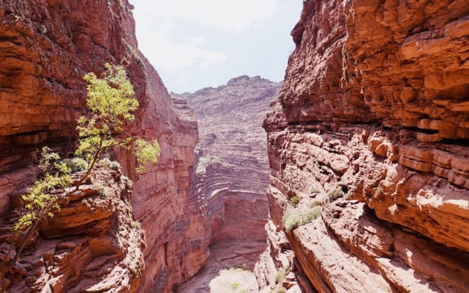 Salta: Cafayate, tierra de vinos. 6